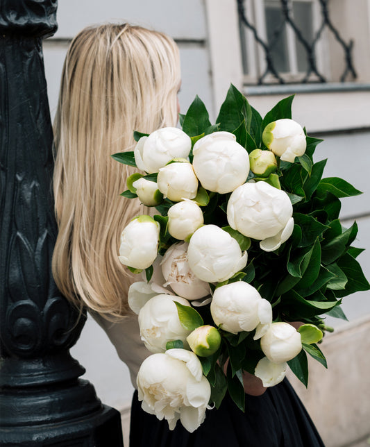 Peony Bouquet, Cream White