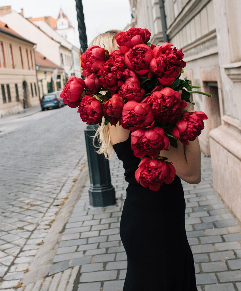 Peony Bouquet, Pink Velvet