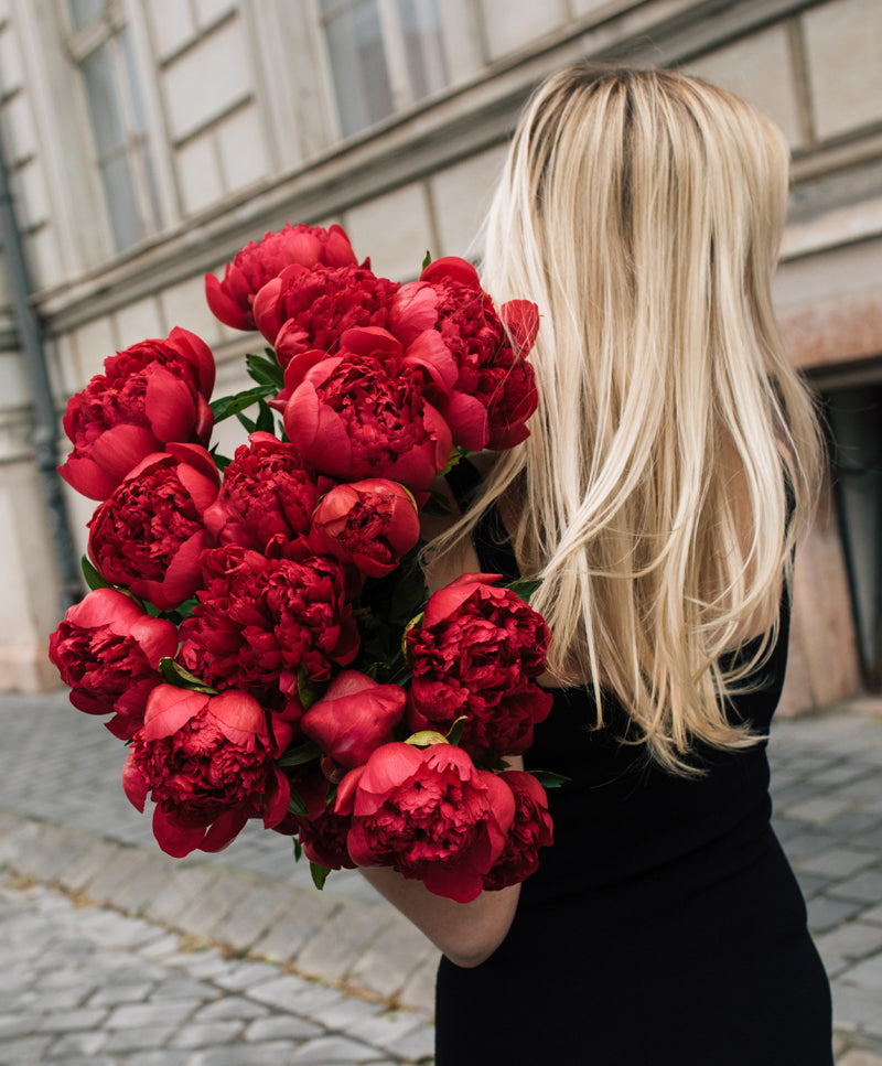 Peony Bouquet, Pink Velvet