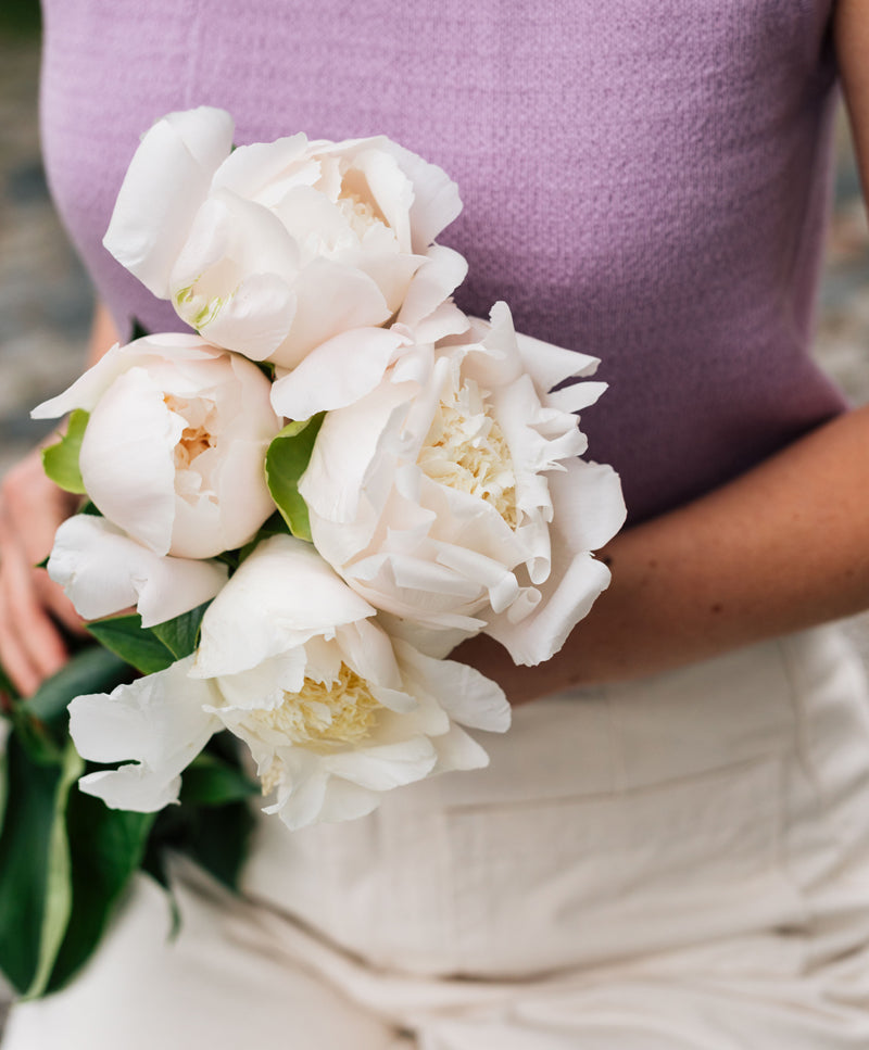 Peony Bouquet, Pink
