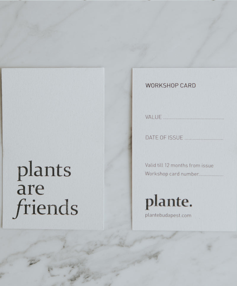 plante. Workshop Voucher