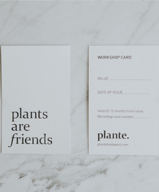 plante. workshop utalvány