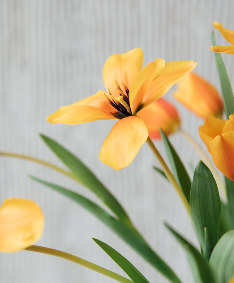 Yellow Tulip Bouquet