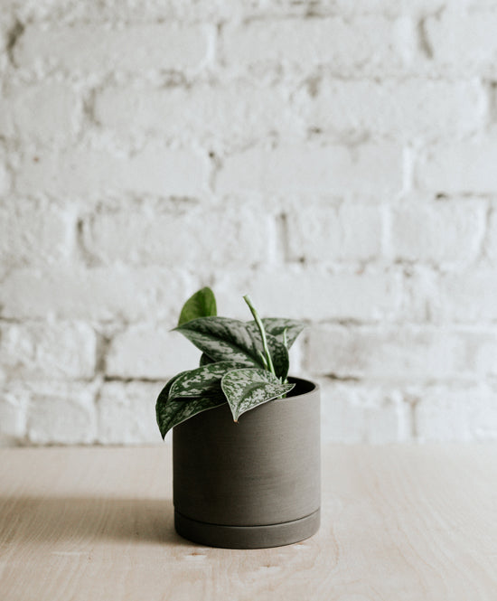 taupe plant pots EARTH plant pot, Taupe grey, medium – Plante. Budapest