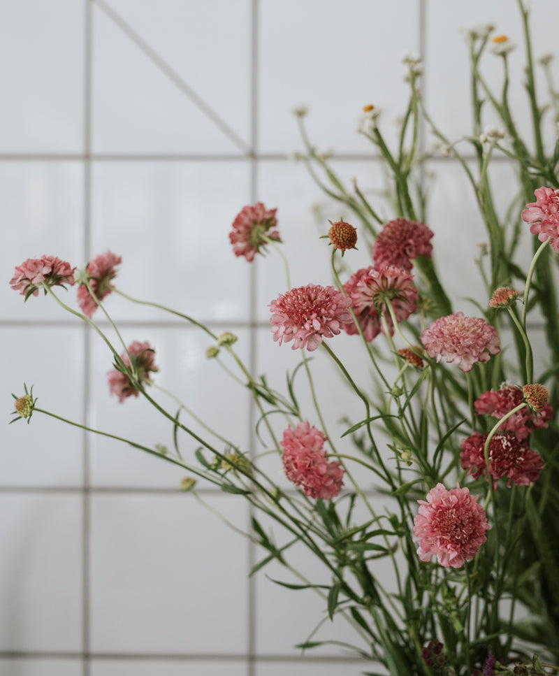 Wildflower bouquet 
